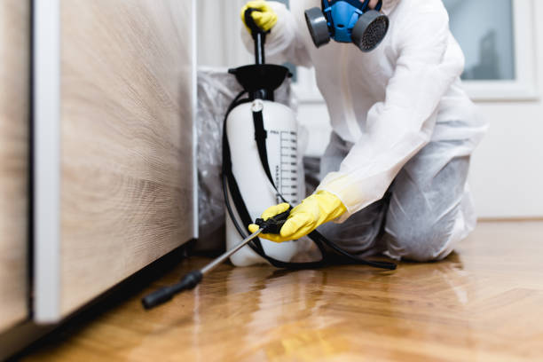 Best Wasp Removal Services  in Bellevue, WI