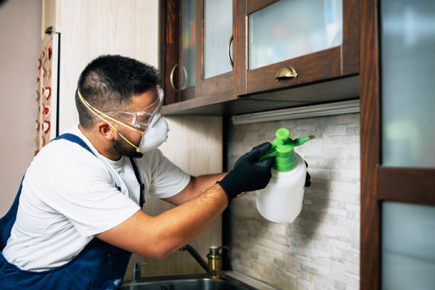 Best Pest Inspection Near Me  in Bellevue, WI