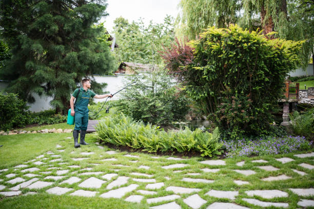 Best Ant Control Services  in Bellevue, WI