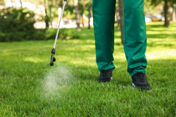 Best Local Pest Control Services  in Bellevue, WI