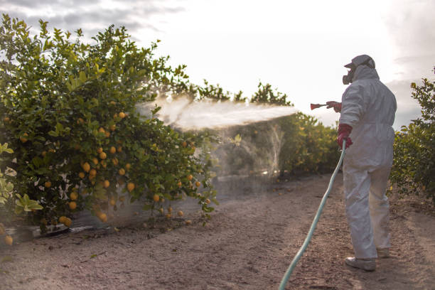 Best Pest Control for Homes  in Bellevue, WI