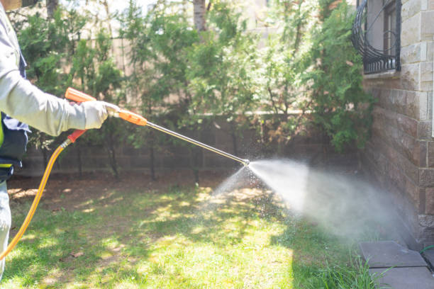 Best Best Pest Control Companies  in Bellevue, WI