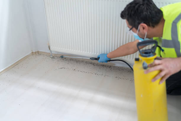 Best Pest Control Near Me  in Bellevue, WI