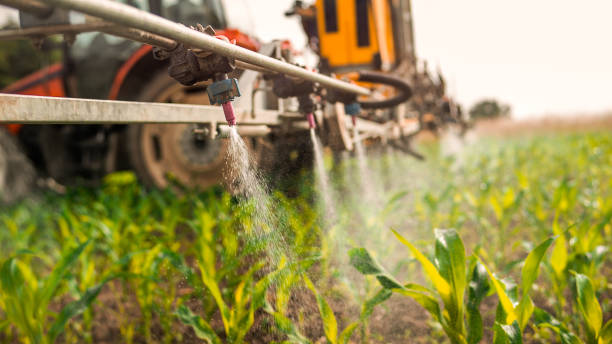 Pest Control Cost in Bellevue, WI